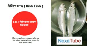 ইলিশ মাছ ( Ilish Fish )