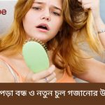 চুল পড়া বন্ধ ও নতুন চুল গজানোর উপায়