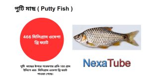 পুটি মাছ ( Putty Fish / Swamp Barb )