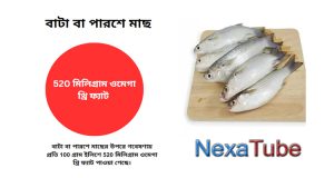 বাটা বা পারশে মাছ ( Bata Labeo/ Parshe Fish )