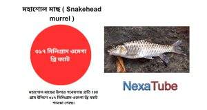 মহাশোল মাছ ( Snakehead murrel )