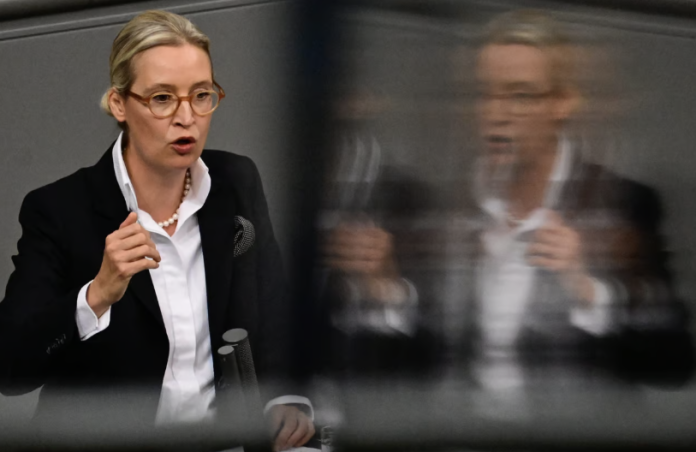 Europe's powerful tech regulators will be checking if X could be giving an unfair campaign advantage to Alice Weidel's Alternative for Germany (AfD) party over rivals.