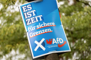 In Germany, the far-right Alternative for Germany, polling second in the runup to February’s election, is celebrating.