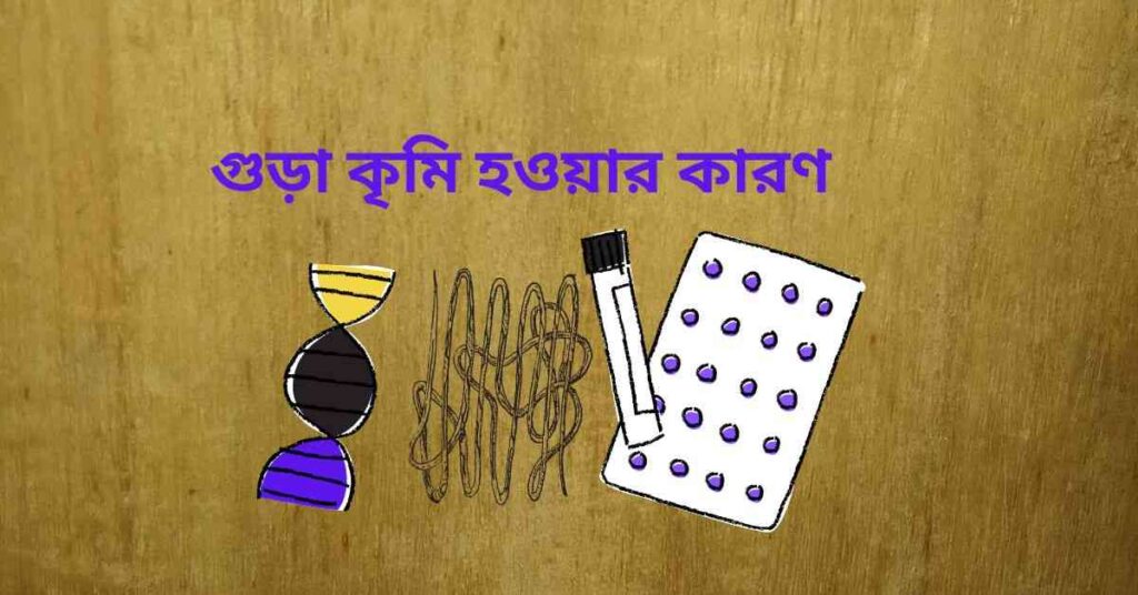 গুড়া কৃমি হওয়ার কারণ কি বিস্তারিত জানুন গুড়া কৃমি হওয়ার কারণ