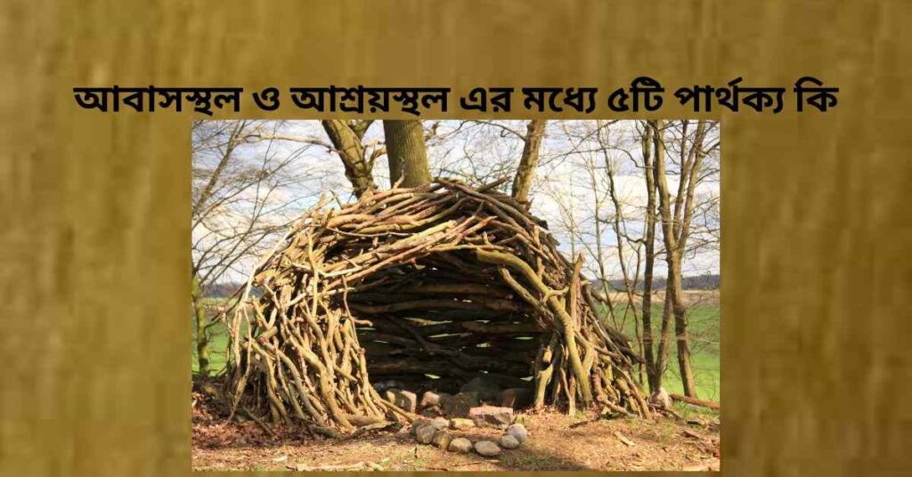 আবাসস্থল ও আশ্রয়স্থল এর মধ্যে ৫টি পার্থক্য কি? আবাসস্থল ও আশ্রয়স্থল এর মধ্যে ৫টি পার্থক্য কি