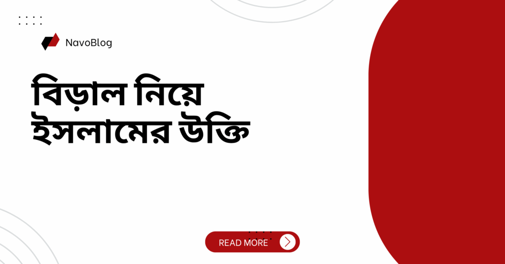 বিড়াল নিয়ে ইসলামের উক্তি – জীবনের জন্য সেরা দিকনির্দেশনামূলক বাণী বিড়াল নিয়ে ইসলামের উক্তি