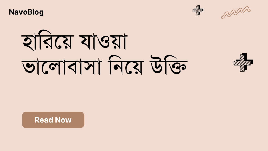 হারিয়ে যাওয়া ভালোবাসা নিয়ে উক্তি