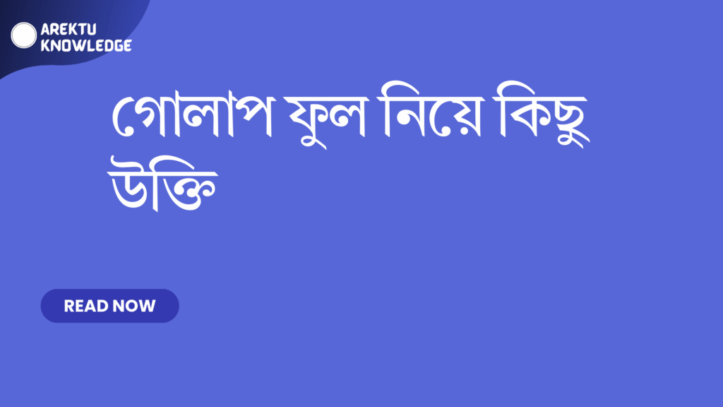গোলাপ ফুল নিয়ে কিছু উক্তি