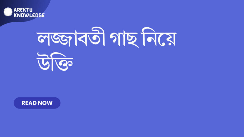 লজ্জাবতী গাছ নিয়ে উক্তি – প্রকৃতির লাজুকতার শিক্ষণীয় বার্তা লজ্জাবতী গাছ নিয়ে উক্তি